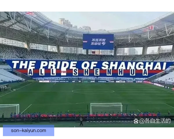 上海申花迎来八万人高峰，主场热情引发关注